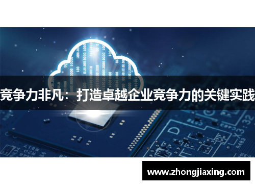 竞争力非凡：打造卓越企业竞争力的关键实践